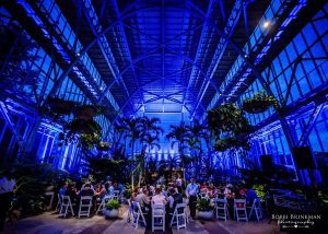 Wedding guests sitting in a greenhouse venue with plants surrounding them and waiters walking around assisting guests