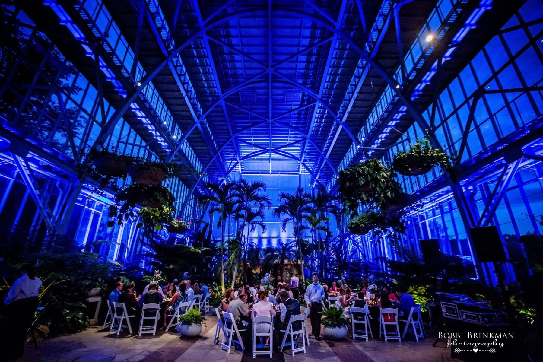 Wedding guests sitting in a greenhouse venue with plants surrounding them and waiters walking around assisting guests