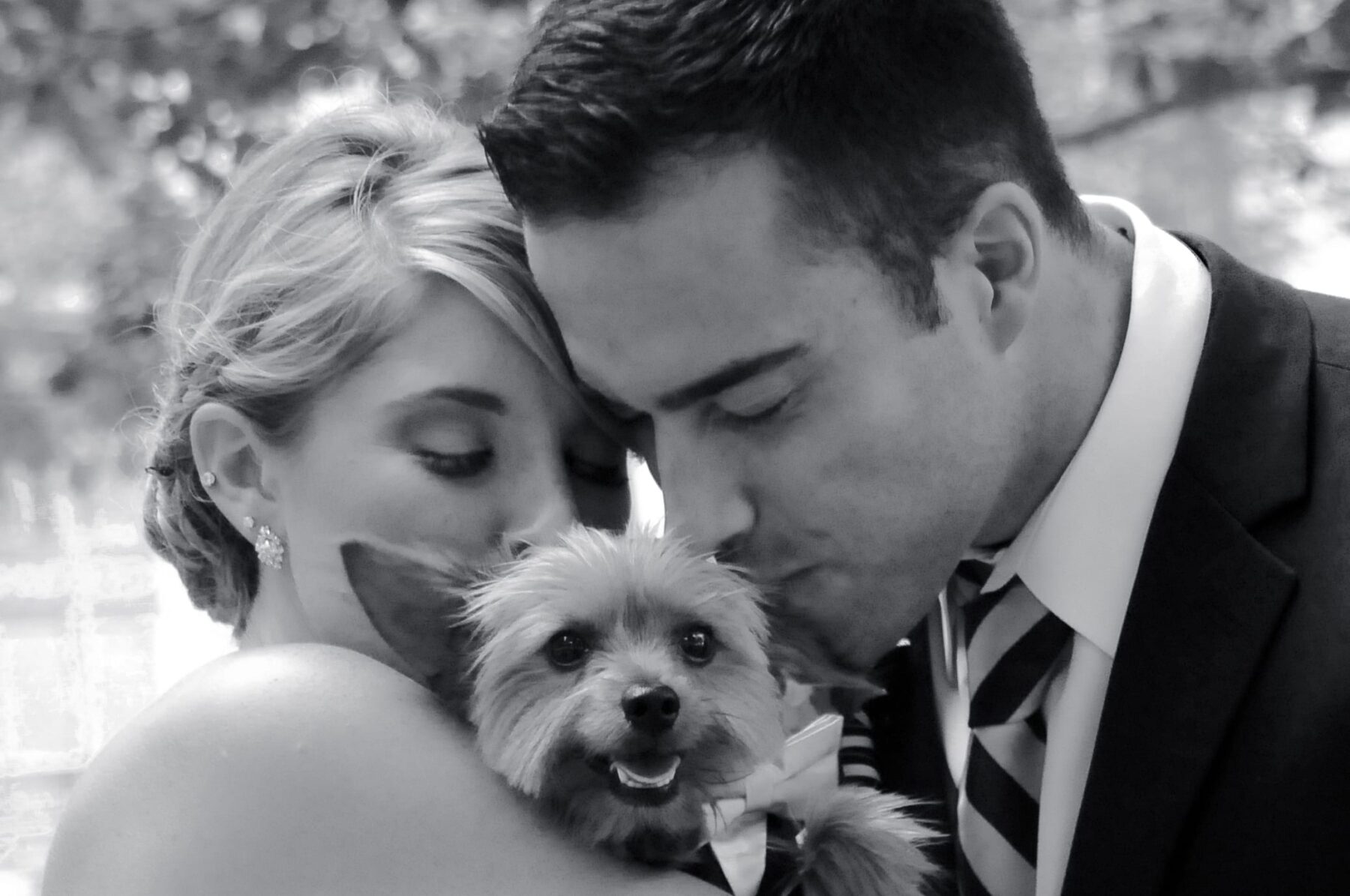 Bride and Groom holding and kissing Yorkshire Terrier outside