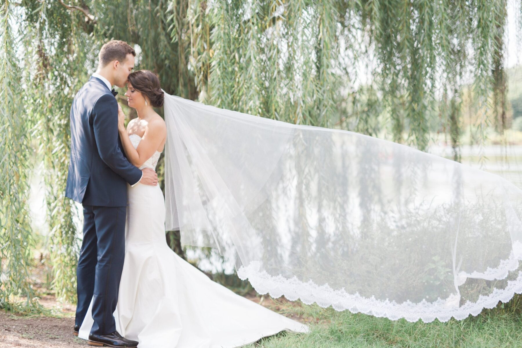 Groom kissing bride's forehead while holding each other in their arms outside in front of a weeping tree