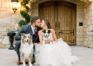A couple on their wedding day kissing each other with their two dogs in their lap