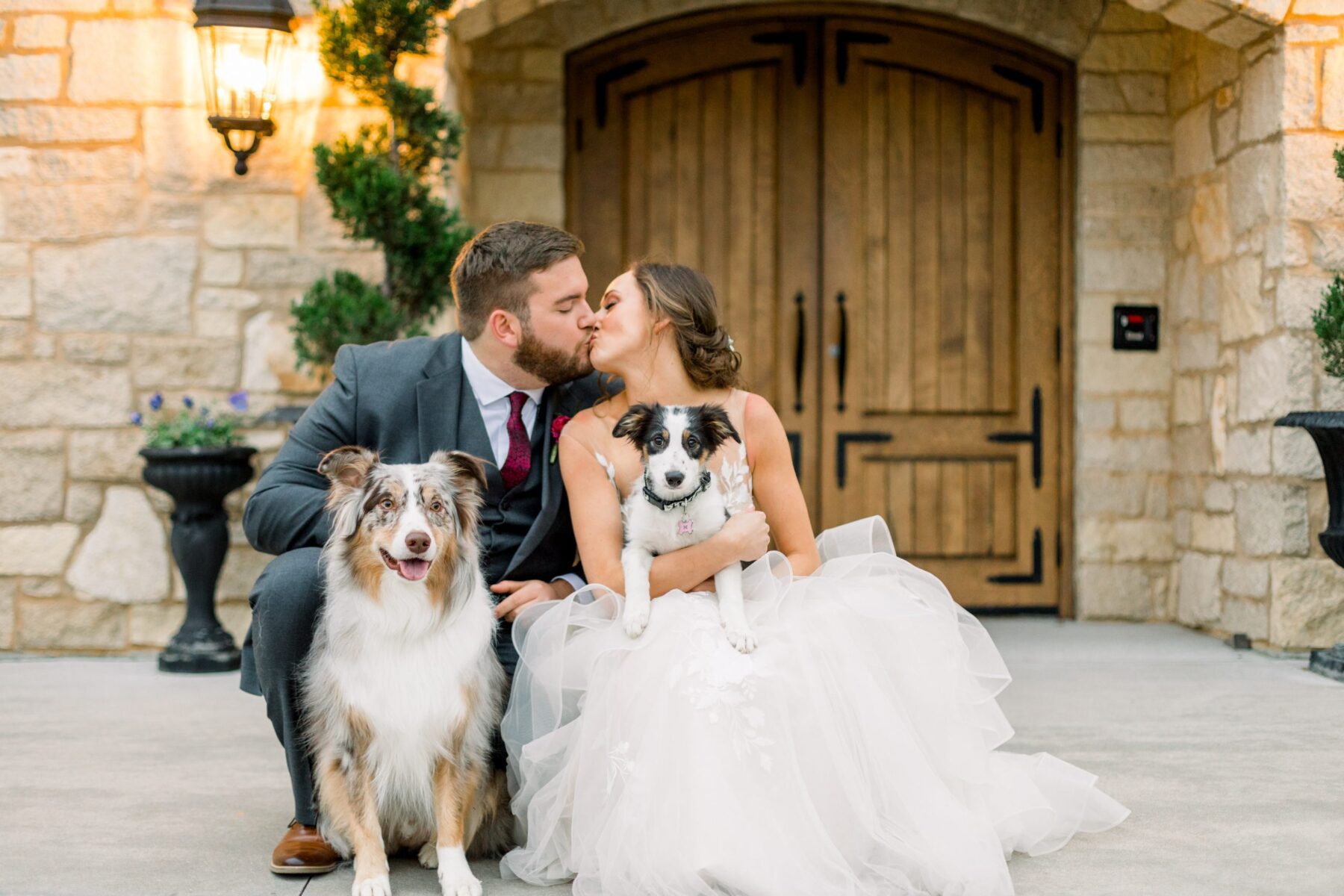 A couple on their wedding day kissing each other with their two dogs in their lap